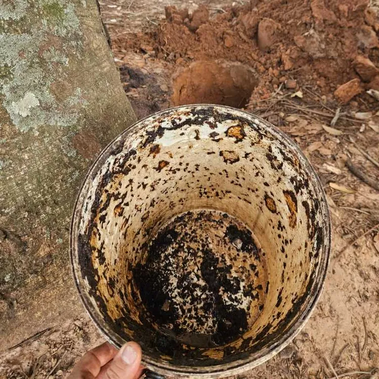Atrativo Especial Pega Mombucão 500ml De Abelha Em Abelha — 11