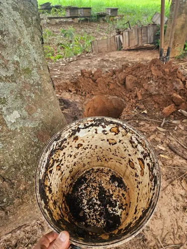 Atrativo Especial Pega Mombucão 500ml De Abelha Em Abelha — 5