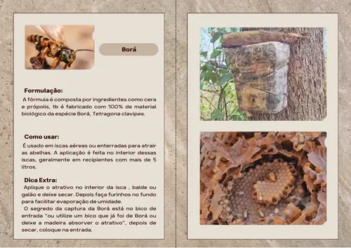 Atrativo Para Captura De Abelha Borá 200ml — 4