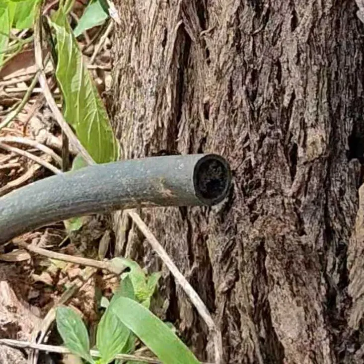 Atrativo Especial Pega Mombucão 500ml De Abelha Em Abelha — 13