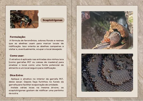 Atrativo Scapto Premium : Benjoi, Canudo, Tubuna, Etc 1litro — 4
