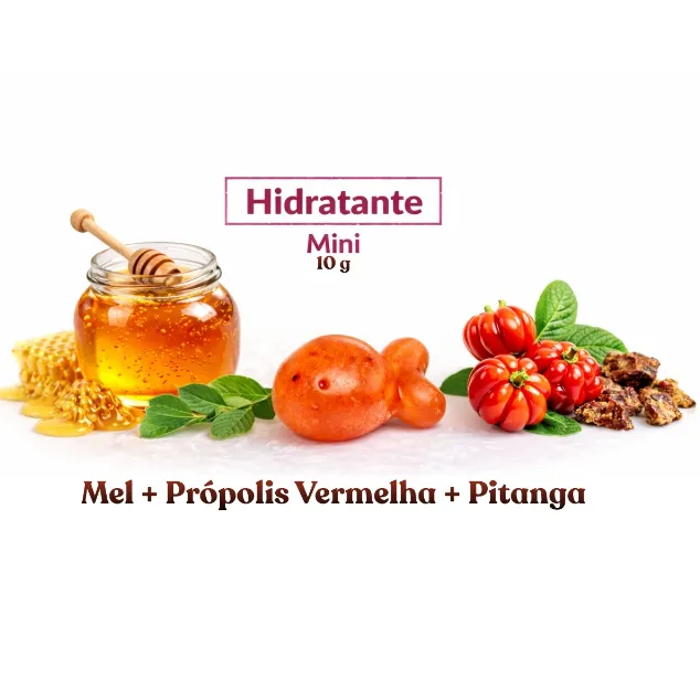 Mini Sabonete Artesanal Coleção Luxo Mel, Própolis e Frutas De Abelha Em Abelha 10g Cada Presente — 5